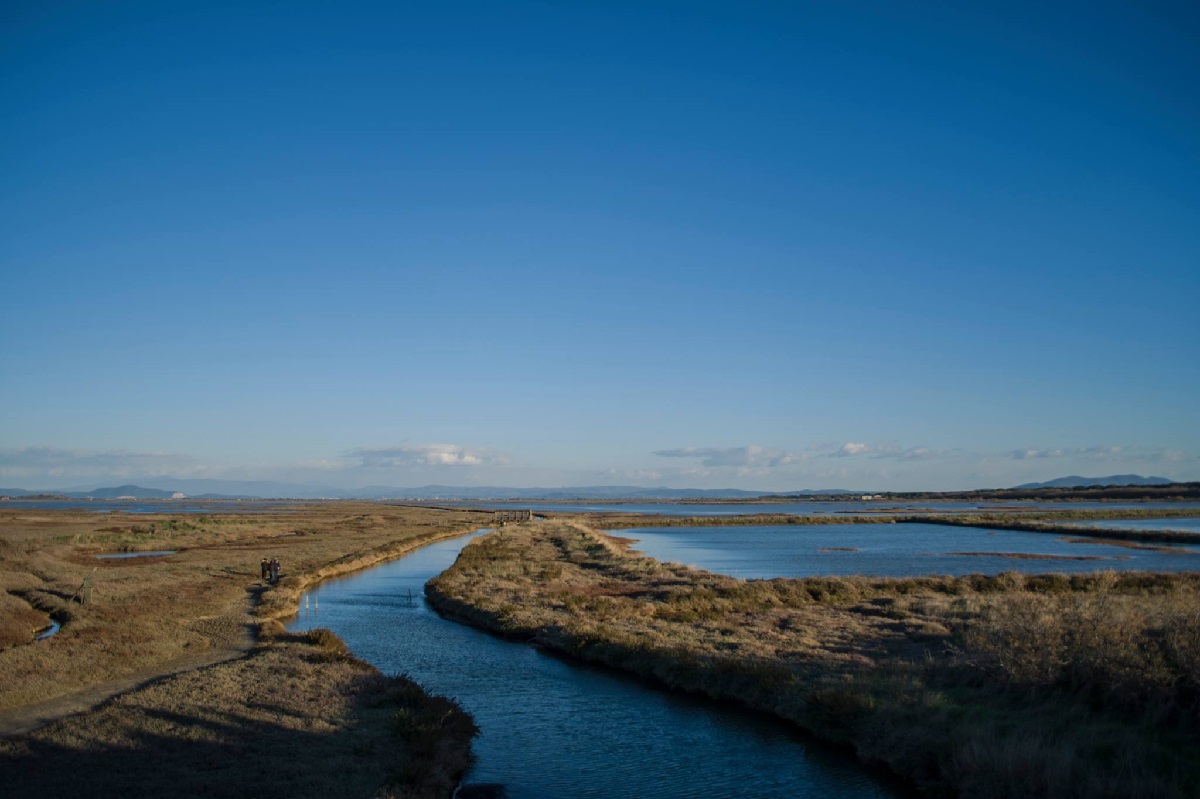 Riserva naturale Diaccia Botrona