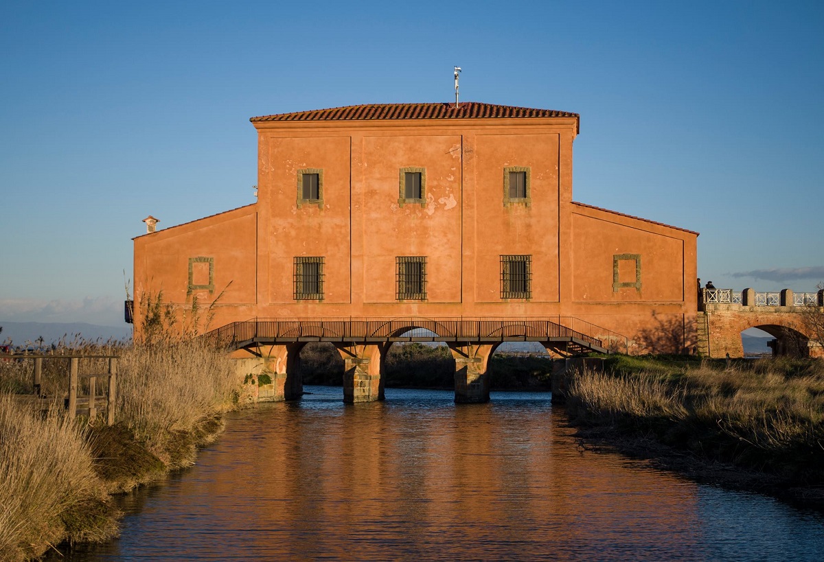 Riserva naturale Diaccia Botrona