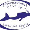 international diving