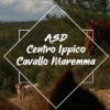 asd centro ippico