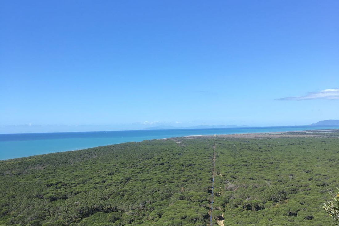 Parco della Maremma