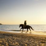 Horse riding in Maremma