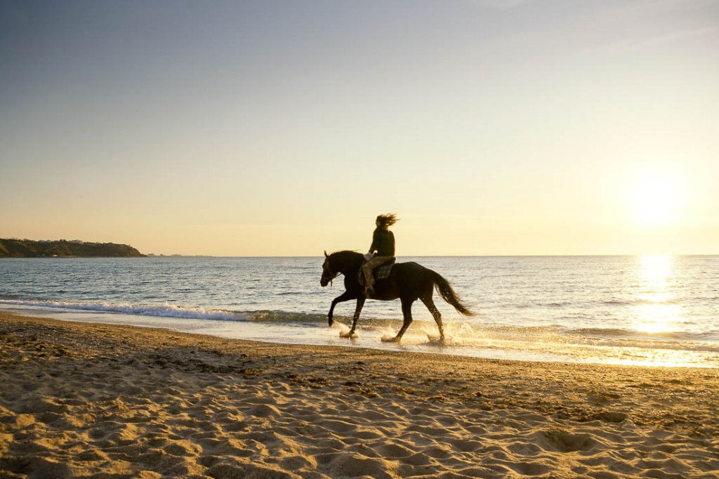 Passeggiate a Cavallo