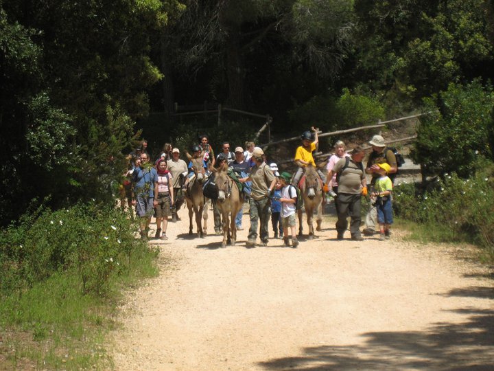 Trekking con gli Asini