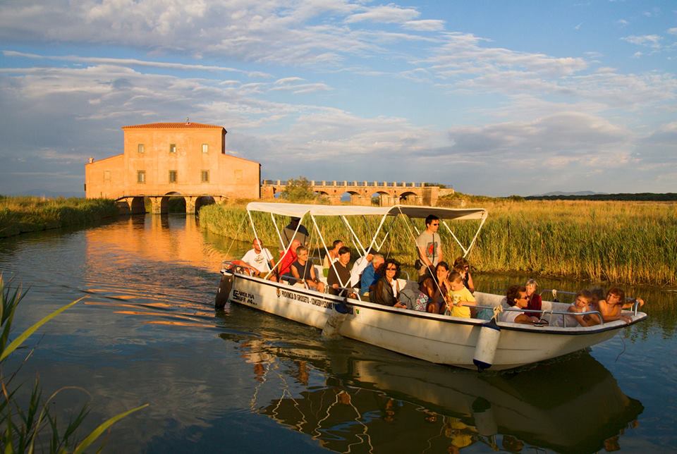 visite-diaccia-botrona-riserva-naturale