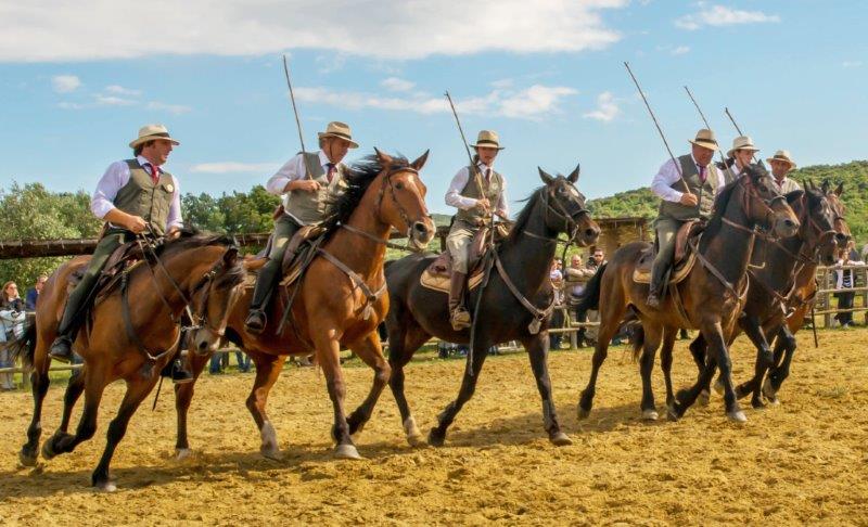 Spettacolo Equestre dei Butteri di Maremma