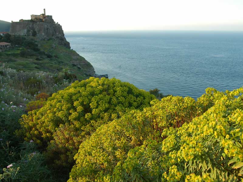 Capraia -Tuscan Archipelago