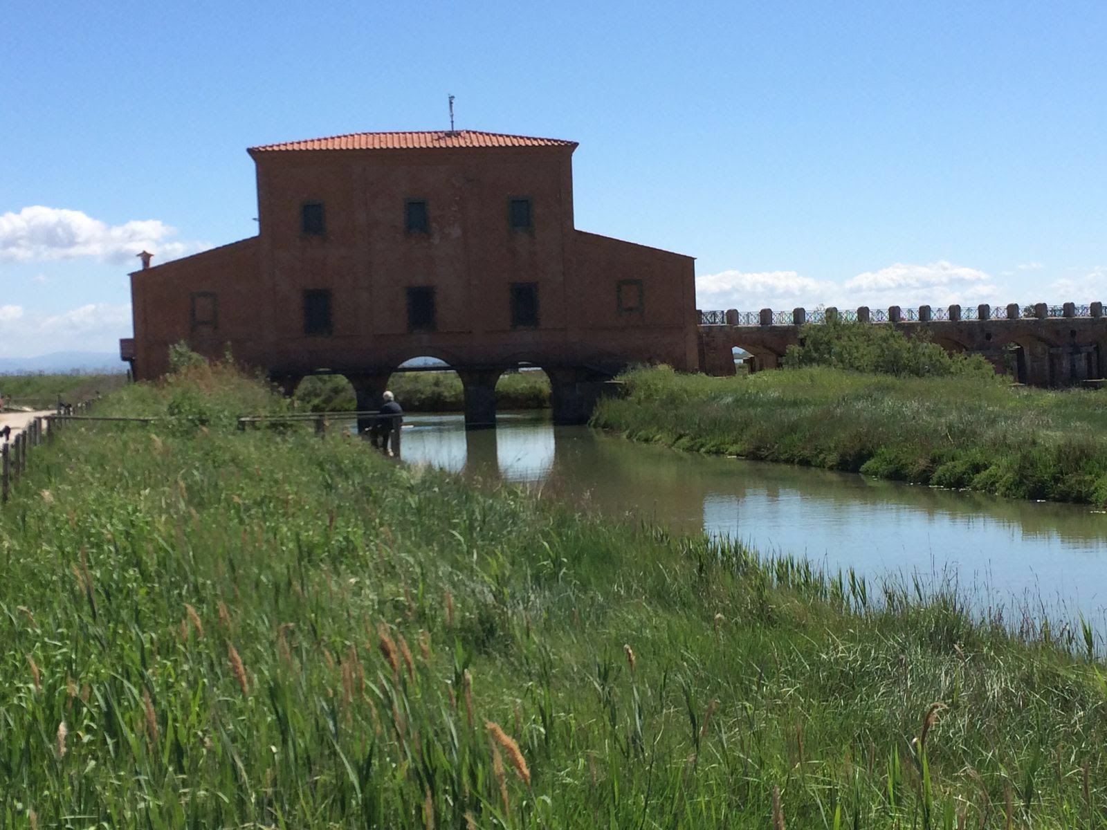 Visita Guidata Riserva Naturale “Diaccia Botrona” Geschehen in der