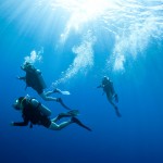 Diving and snorkelling on vacation