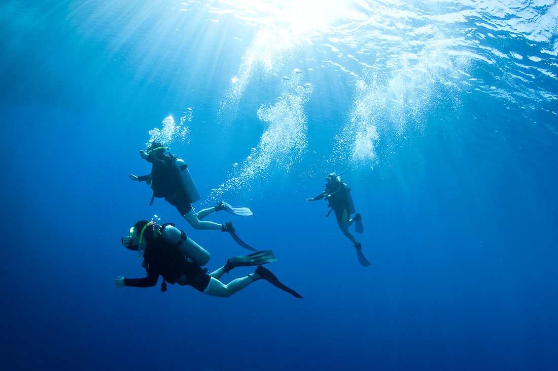 Diving – Tuscan Archipelago