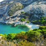 In vacanza a Montecristo l’isola da romanzo