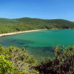 Boat rental for Giglio island