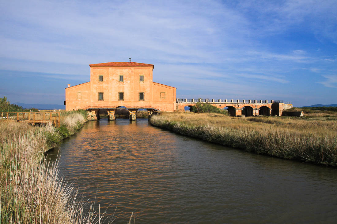 Casa Rossa, Riserva Diaccia Botrona