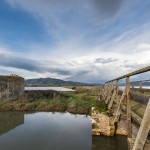 Diaccia Botrona Nature Reserve