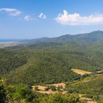 Das staatliche Naturschutzgebiet Marsiliana