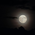 Full moon canoeing at Maremma Natural Park