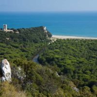 Naturpark der Maremma