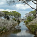 Gli altri parchi della Maremma