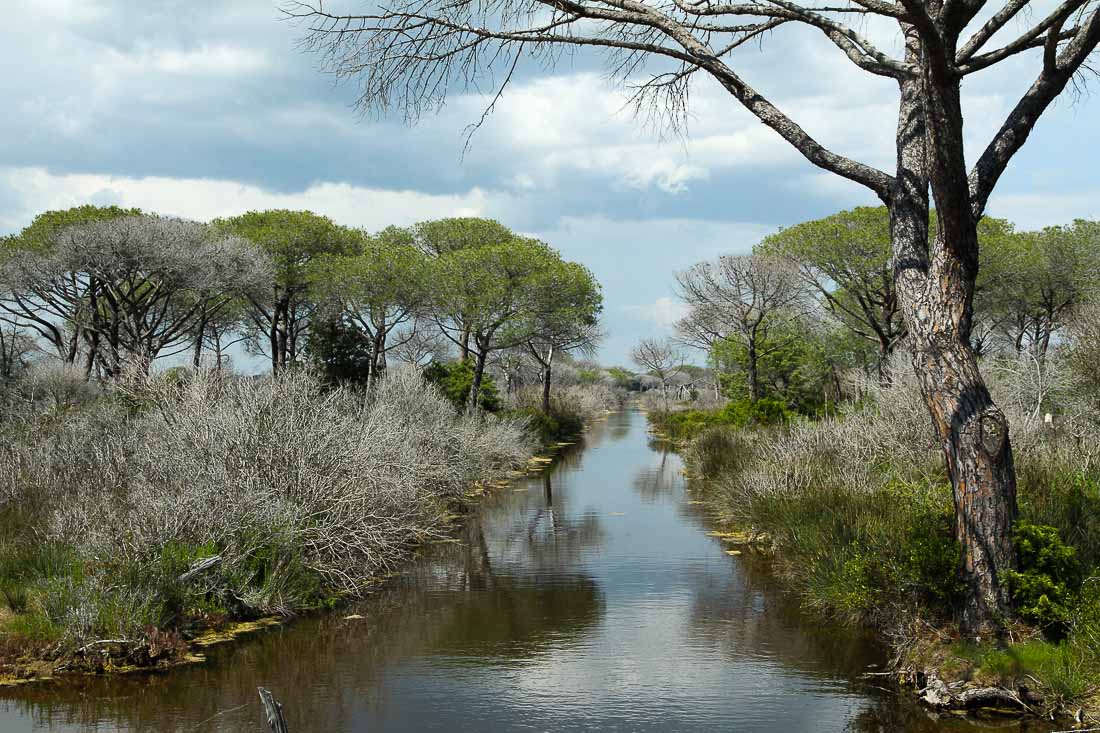 Parco della Maremma