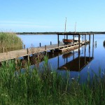 Oasi WWF Lago di Burano