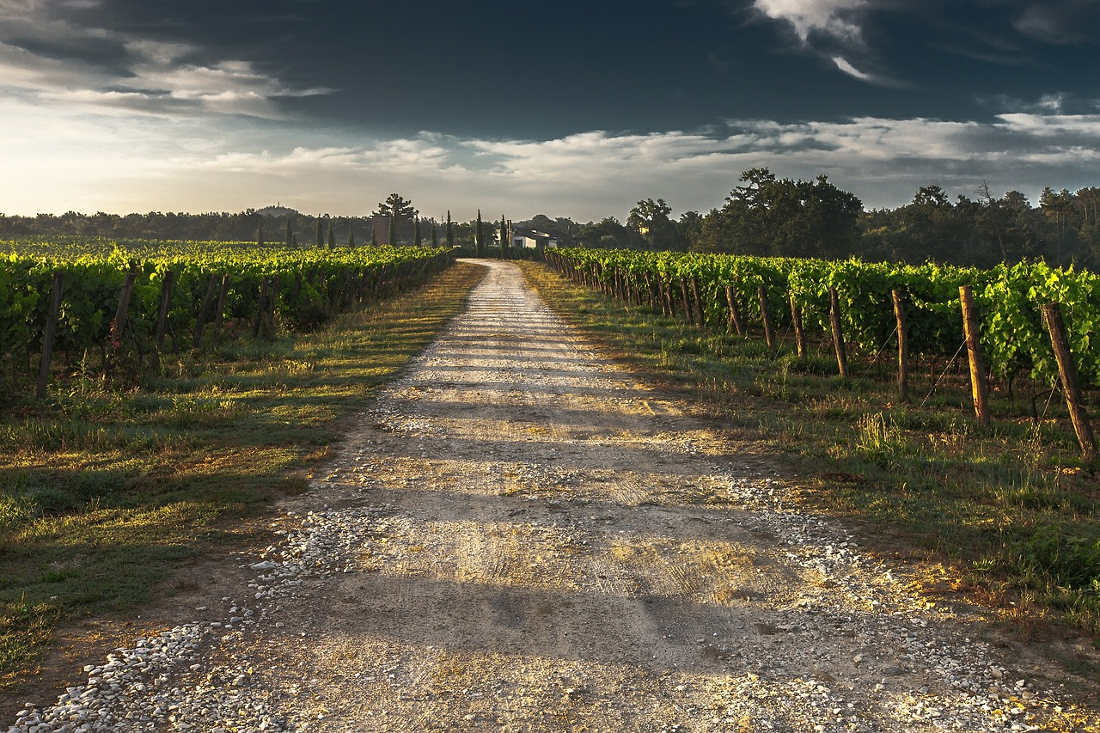 strada-del-vino-marermma